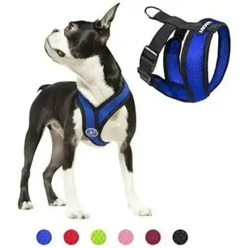 Comfort X Head-In Harness Gooby WP