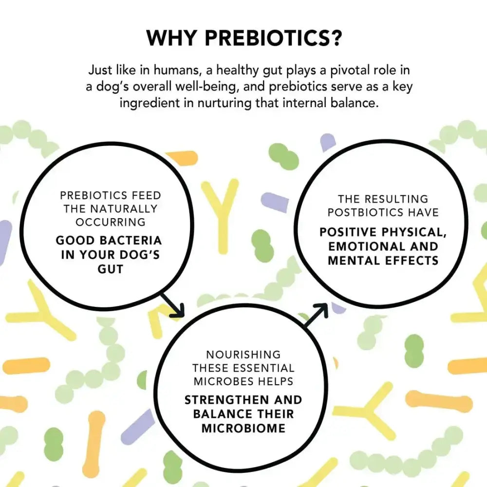 Crumps' Naturals Gutsy Calm Bites – Stress Relief with Prebiotic Power - Talis Us