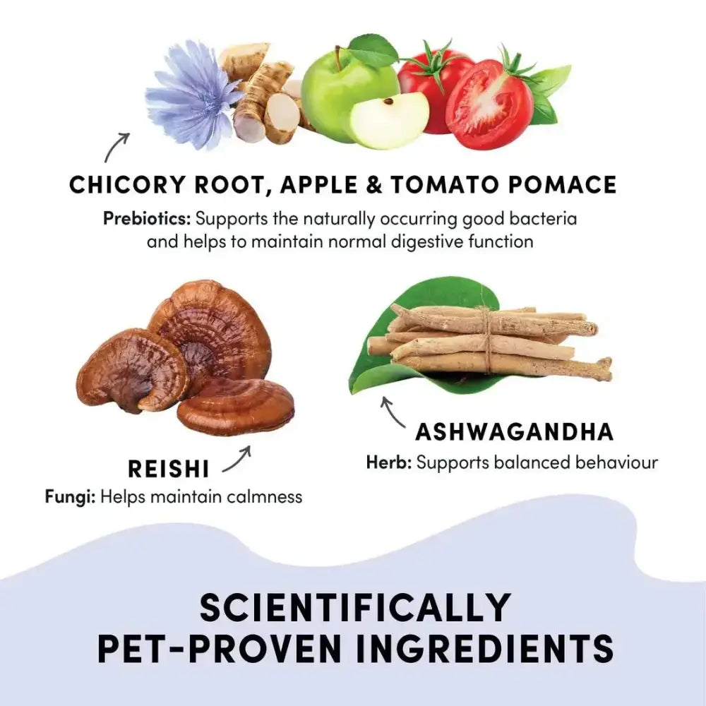 Crumps' Naturals Gutsy Calm Bites – Stress Relief with Prebiotic Power - Talis Us