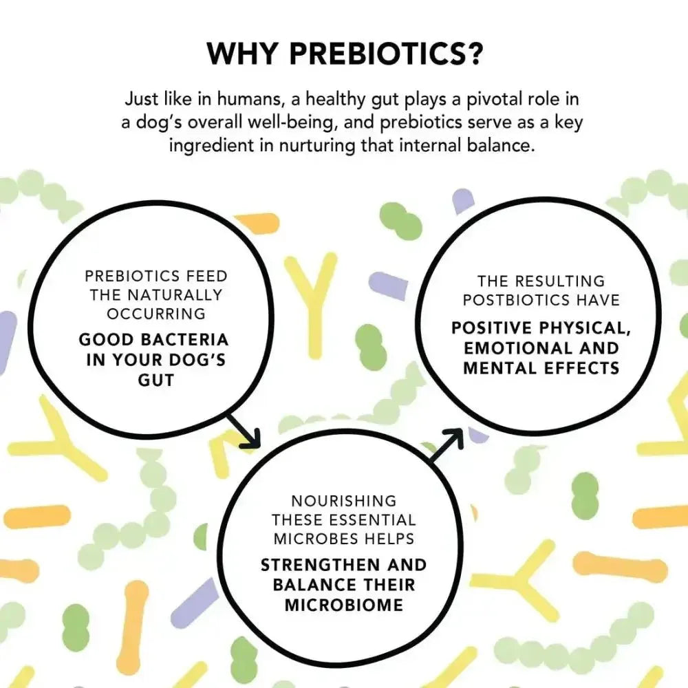 Crumps’ Naturals Gutsy Happy Bites - Mood & Gut Health Dog Treats - Talis Us