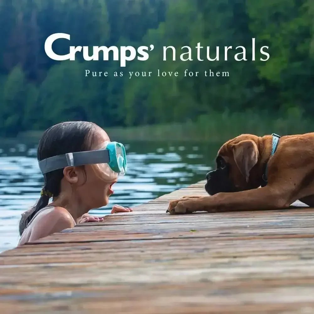 Crumps' Naturals Mini Trainers Semi - Moist Chicken Dog Treats - Talis Us