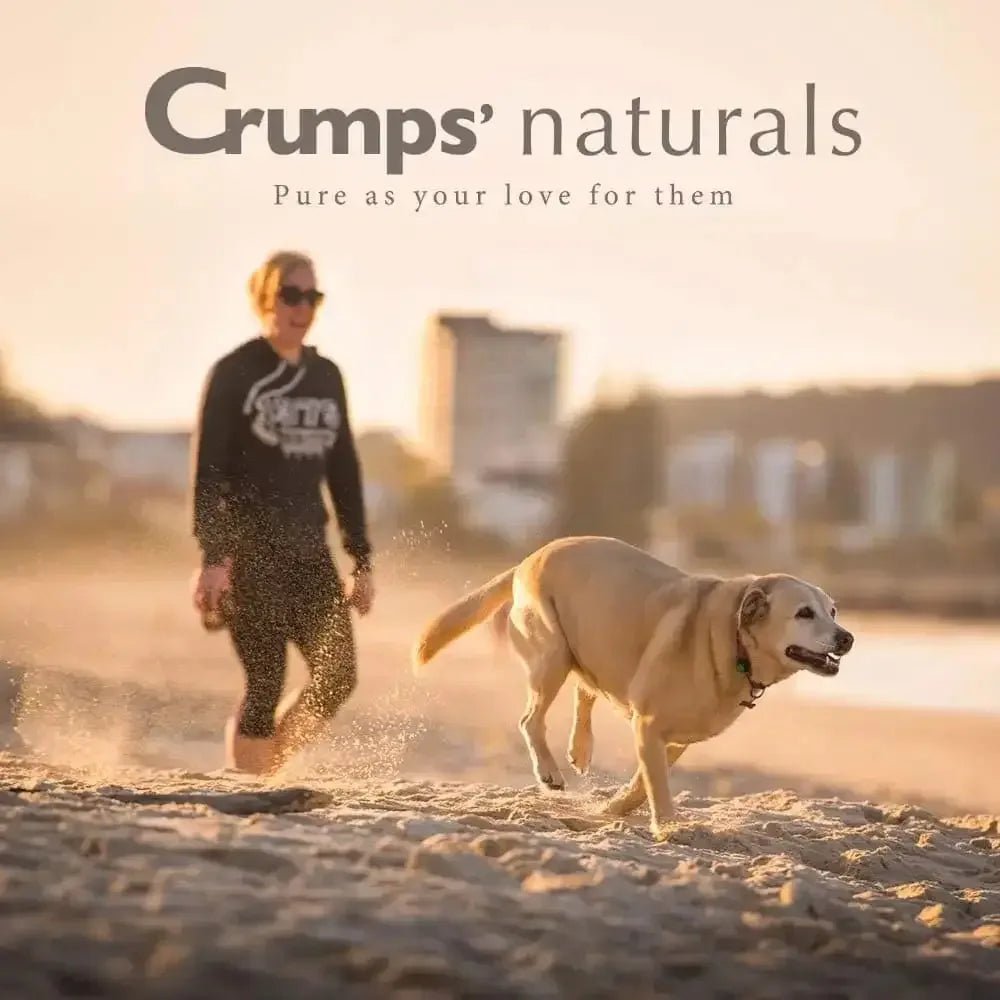 Crumps' Naturals Original Plaque Busters Dental Dog Treats - Talis Us