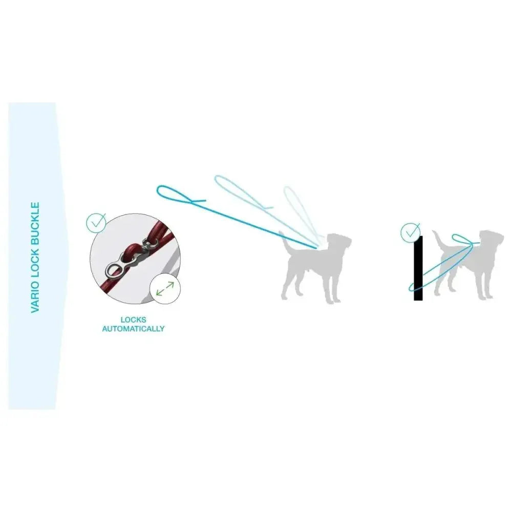 Curli Vario Comfort Dog Leash - Talis Us