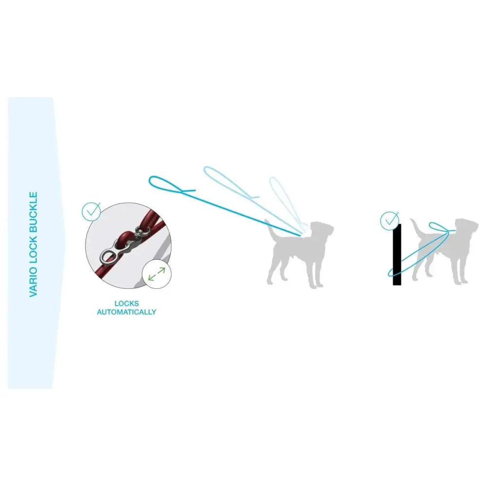 Curli Vario Comfort Dog Leash - Talis Us