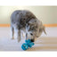Cycle Dog 3 - Play Hippo Dog Toy - Talis Us