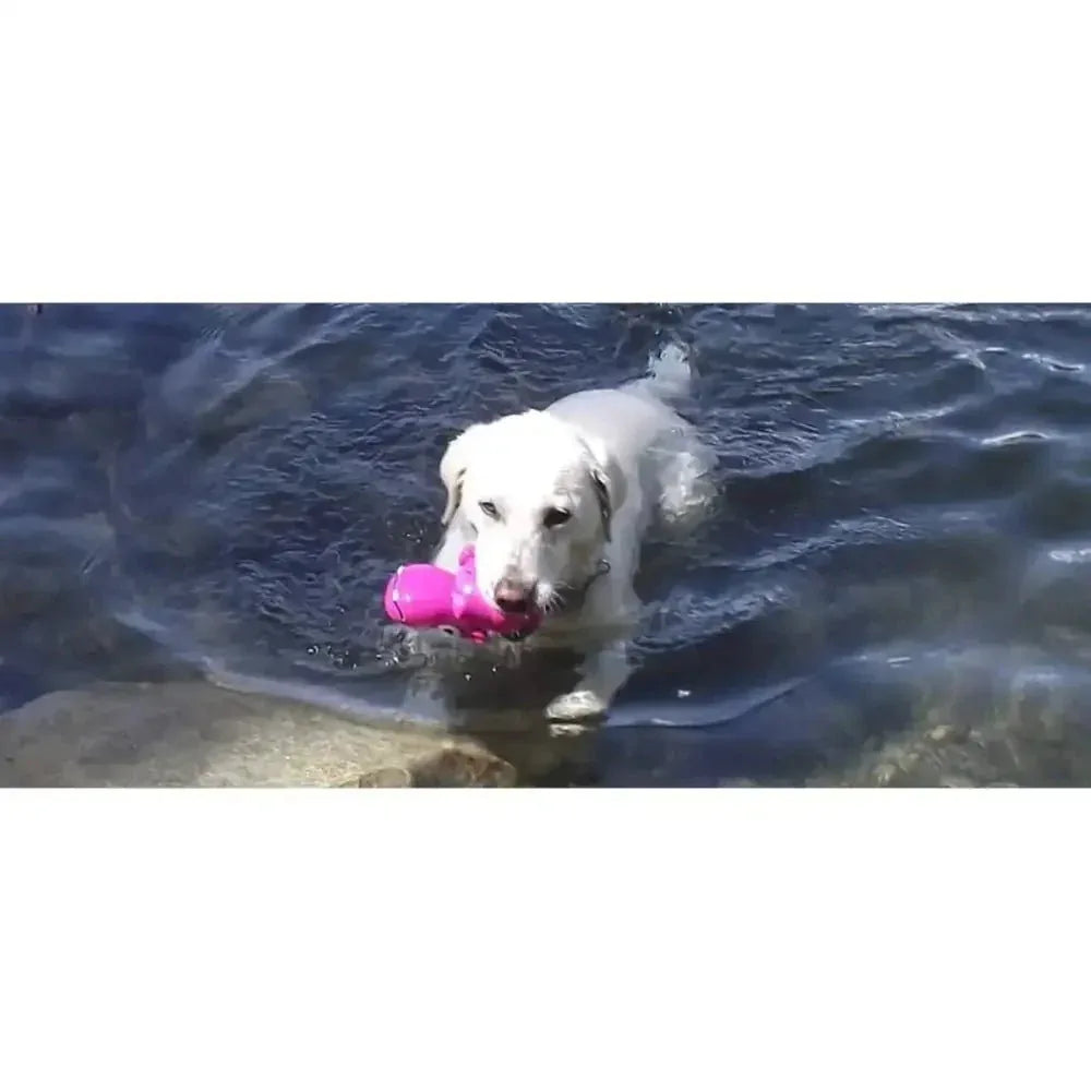 Cycle Dog 3 - Play Hippo Dog Toy - Talis Us