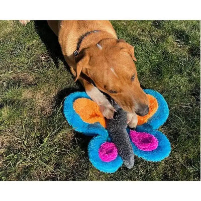 Cycle Dog Duraplush Butterfly (Assorted Colors) - Talis Us