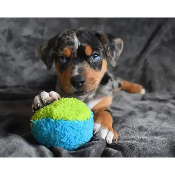 Cycle Dog Duraplush Fuzzball Dog Toy - Talis Us