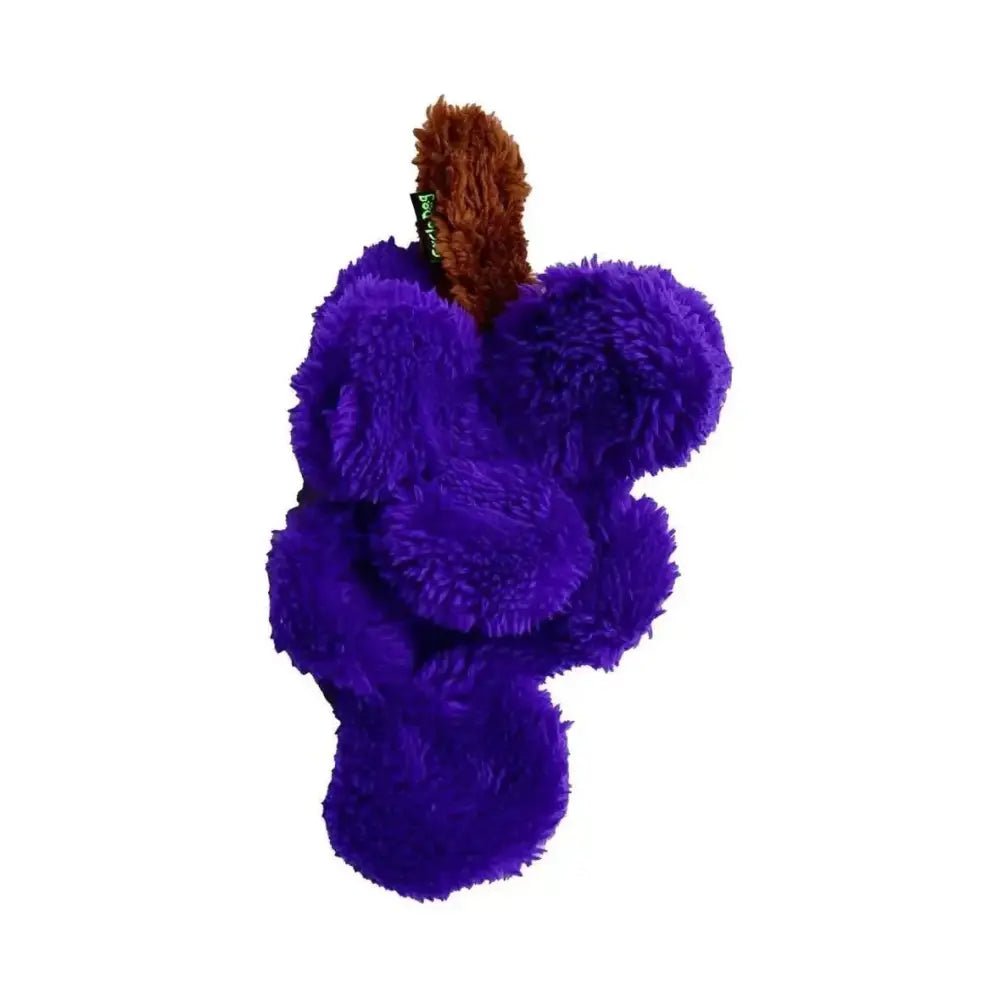Cycle Dog Duraplush Small Grapes Dog Toy - Talis Us