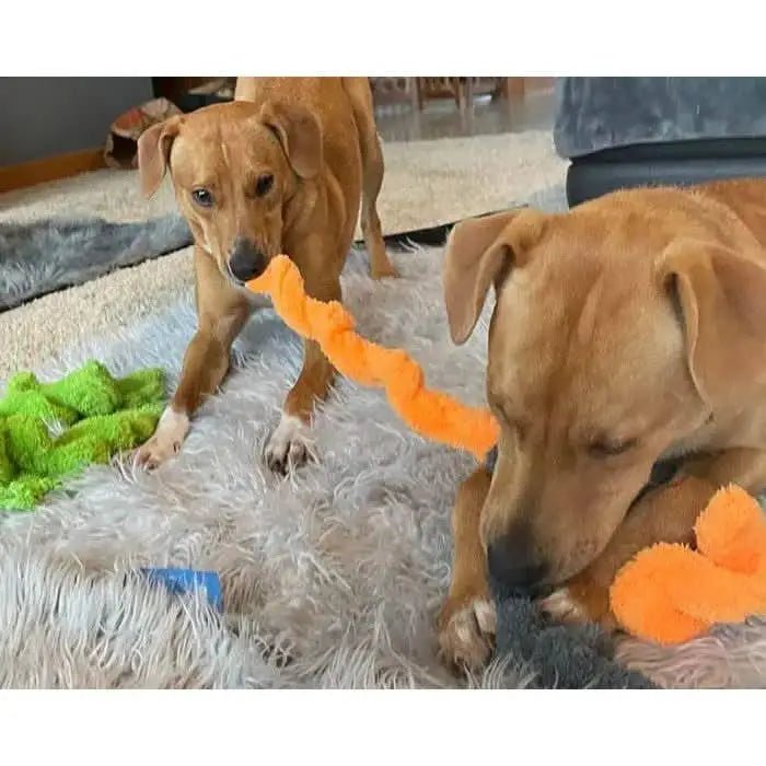 Cycle Dog Duraplush Springy Thing Dog Toy - Talis Us