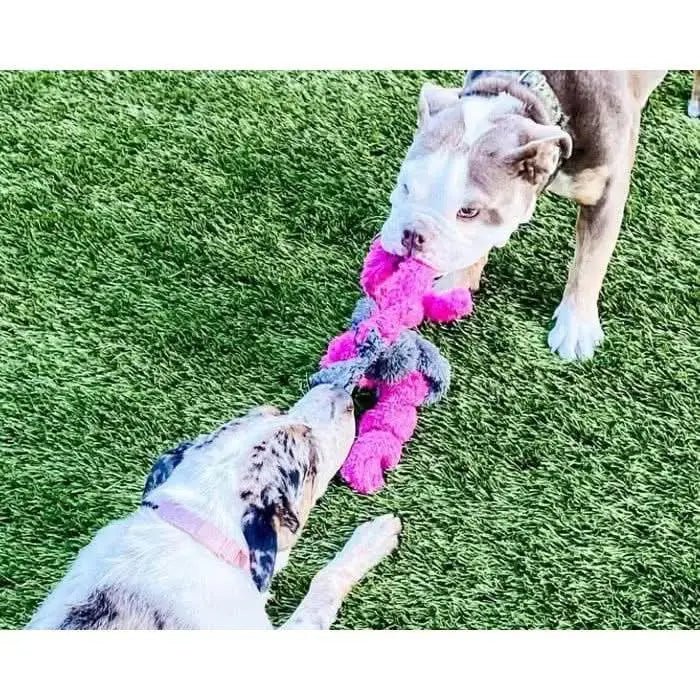 Cycle Dog Duraplush Springy Thing Dog Toy - Talis Us