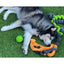Cycle Dog Duraplush Springy Thing Dog Toy - Talis Us