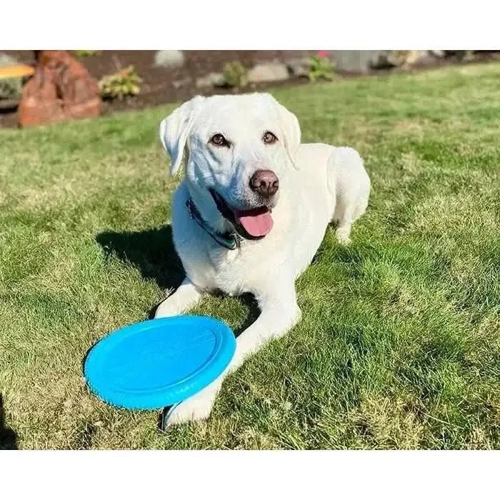 Cycle Dog Flat Tire Flyer - Talis Us