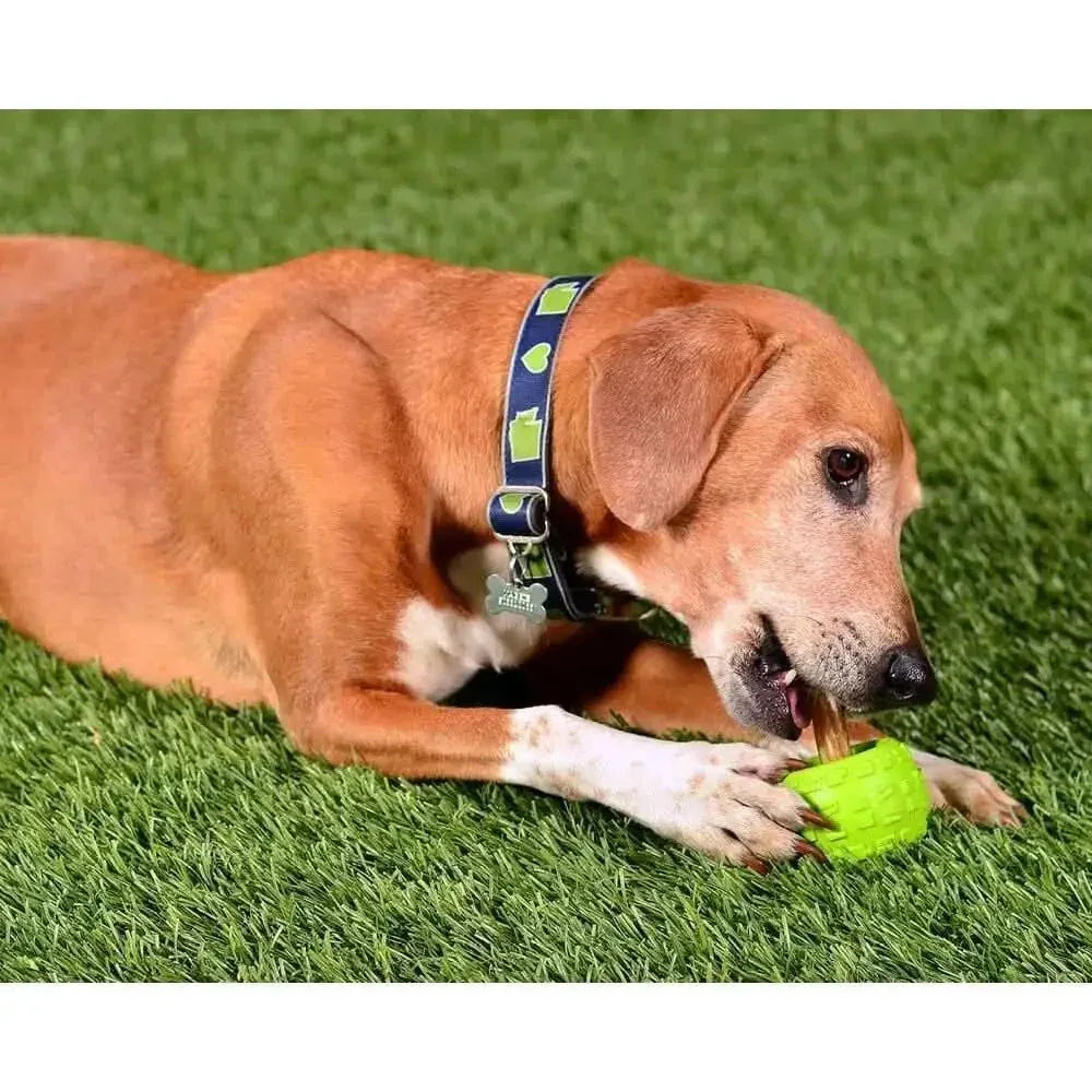 Cycle Dog High Roller Plus Dog Ball - Talis Us