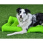 Cycle Dog Waterproof Barrier Layout Dog Bed - Talis Us