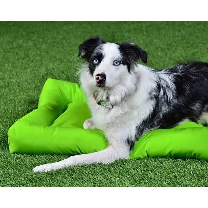 Cycle Dog Waterproof Barrier Layout Dog Bed - Talis Us