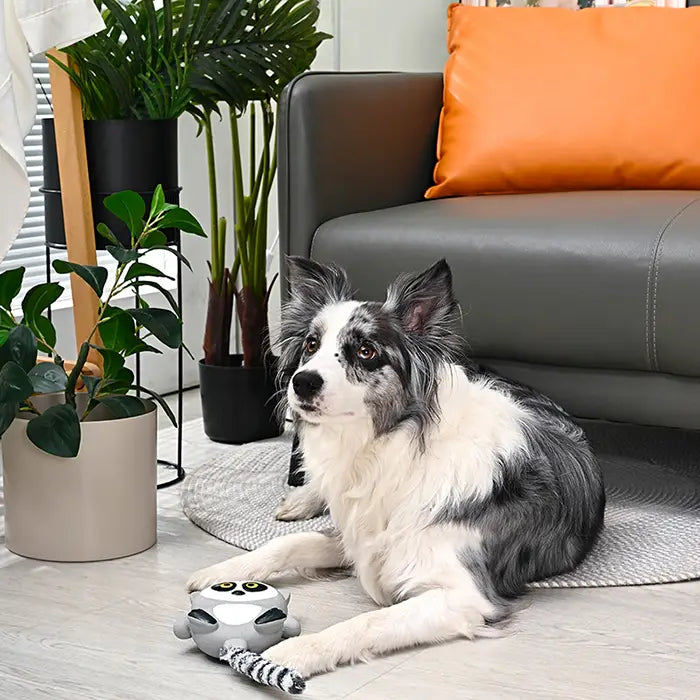 A border collie lies on a rug next to a Hugsmart Pet Jungle Tails lemur plush toy.