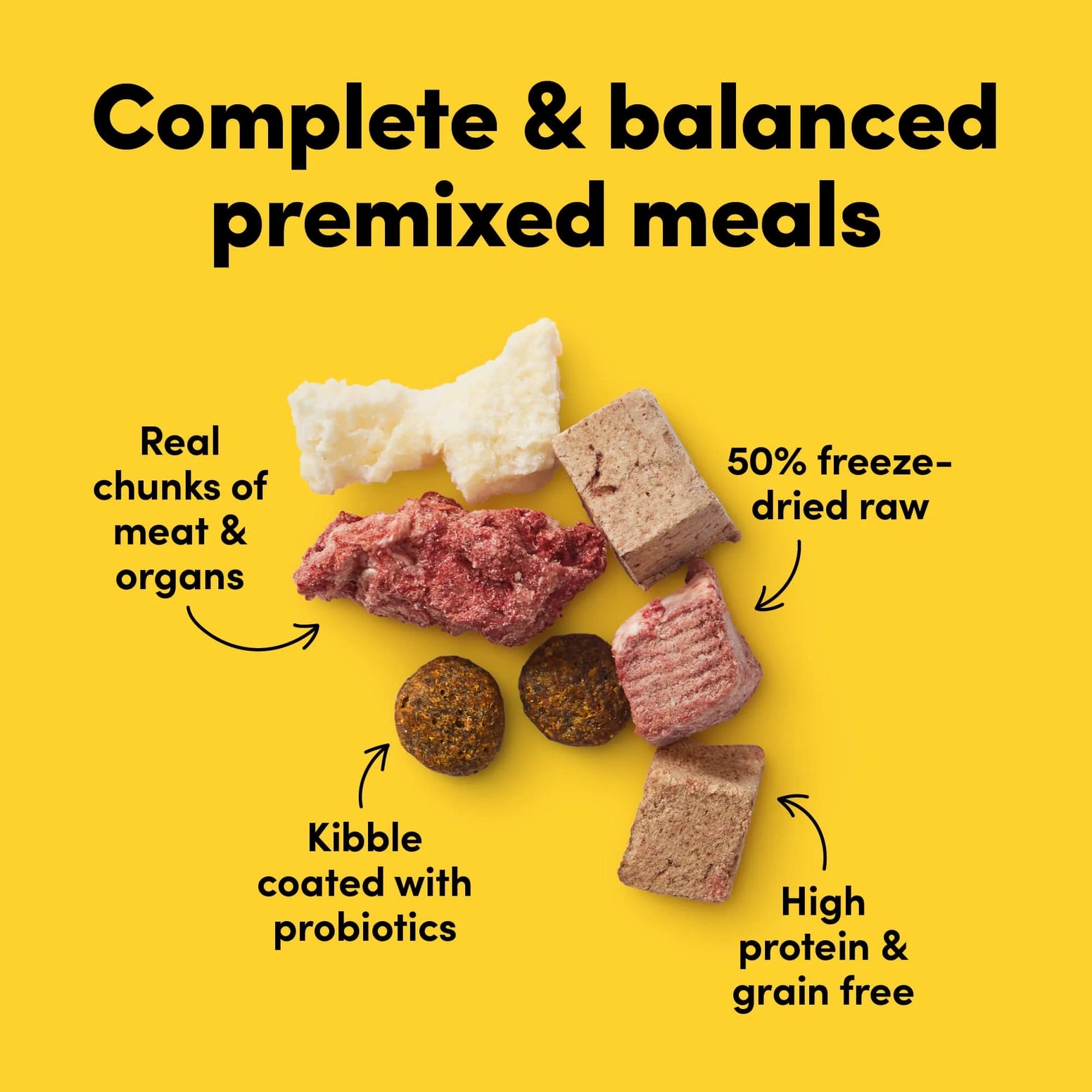 Close-up of mixed textured dog food pieces with freeze-dried meat, kibble with probiotics, and protein-rich grain-free formula
