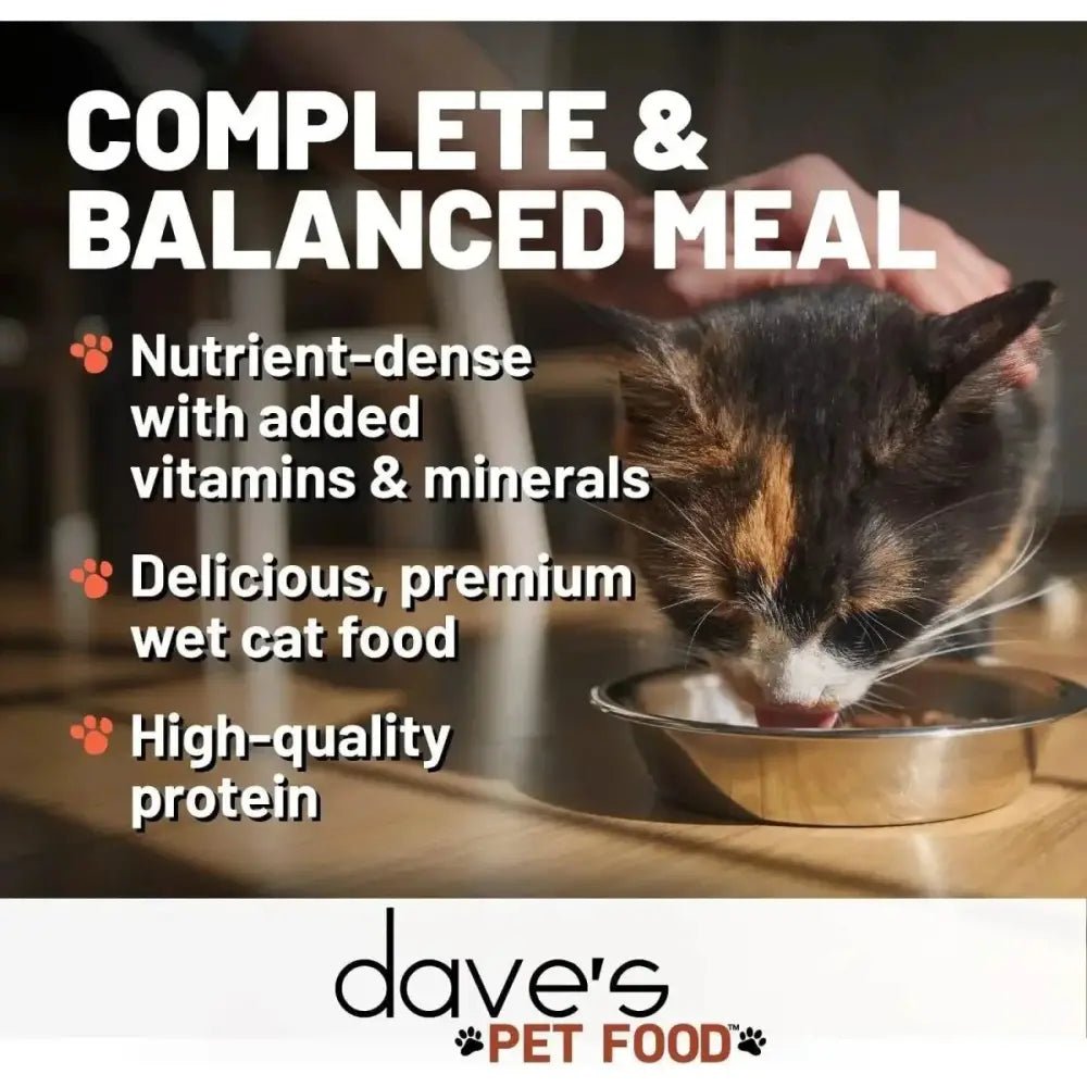 Dave's Pet Food Naturally Healthy Chicken Dinner Grain - Free Wet Cat Food 22oz/ 12ct - Talis Us
