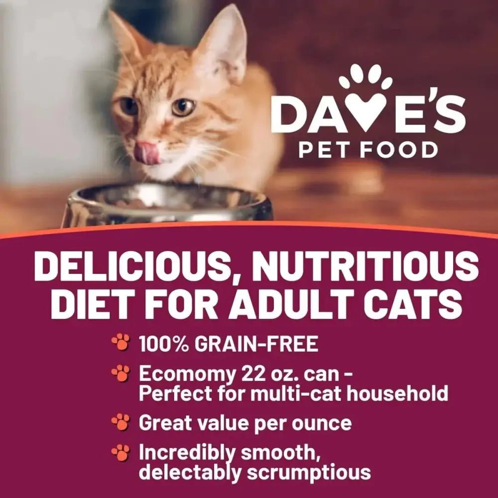 Dave's Pet Food Naturally Healthy Chicken Dinner Grain - Free Wet Cat Food 22oz/ 12ct - Talis Us