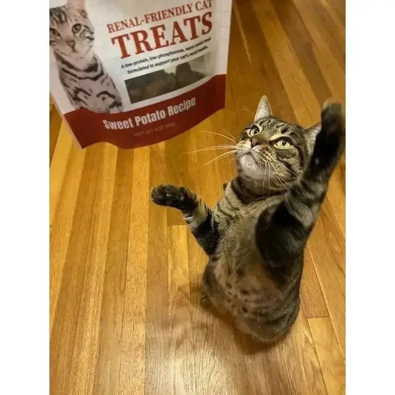 Dave's Pet Food Renal - Friendly Sweet Potato Grain - Free Soft & Chewy Cat Treats - Talis Us