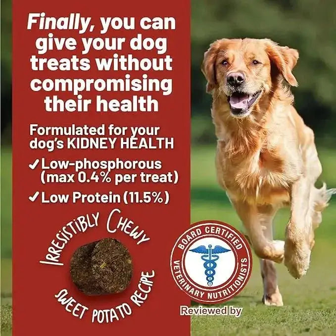 Dave's Pet Food Renal - Friendly Sweet Potato Grain - Free Soft & Chewy Dog Treats 5oz - Talis Us