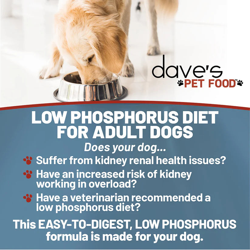 Dave's Pet Food restricted phosphorus dog food for adult dogs, easy-to-digest formula for kidney health