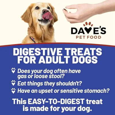 Dave's Pet Food Sensitive Stomach Sweet Potato & Pumpkin Grain - Free Soft & Chewy Dog Treats 5oz - Talis Us