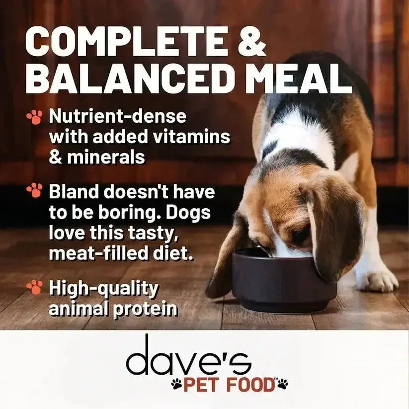 Dave's Restricted Diet Bland Lamb & Rice Dinner Canned Dog Food 12ea/13 oz - Talis Us