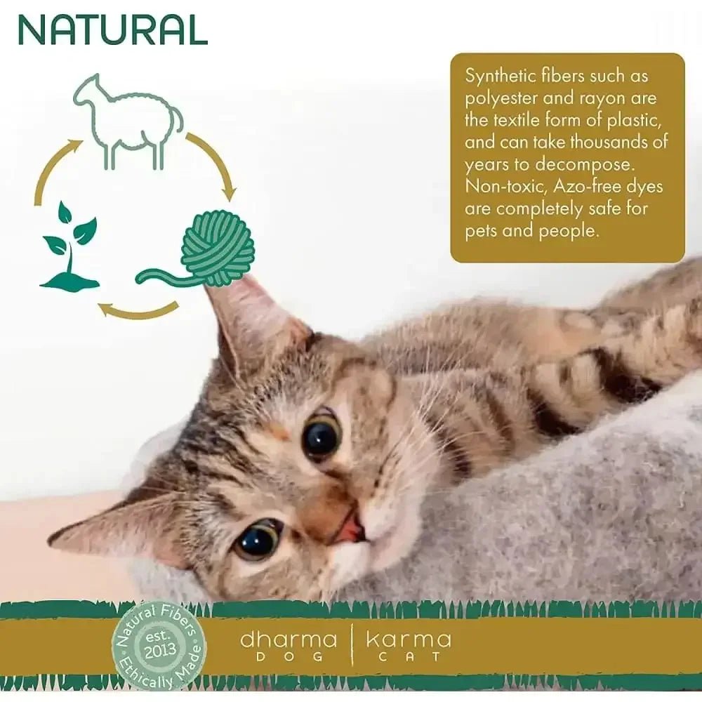 Dharma Dog Karma Cat - Talis Us