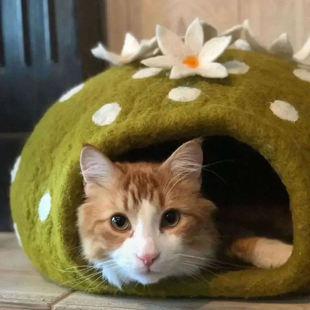 Dharma Dog Karma Cat Wool Pet Cave Cactus Small Dogs & Cat Bed - Talis Us