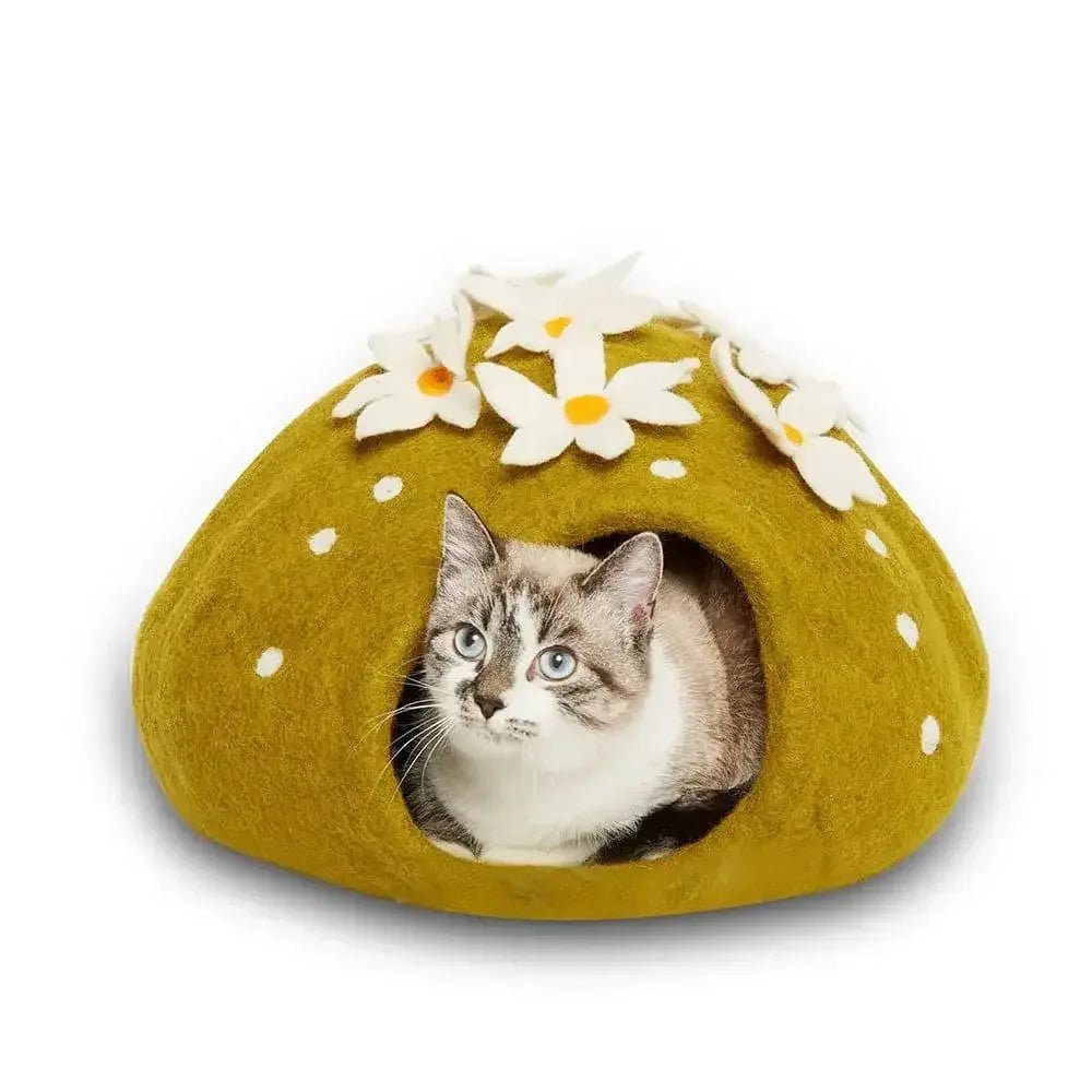 Dharma Dog Karma Cat Wool Pet Cave Cactus Small Dogs & Cat Bed - Talis Us
