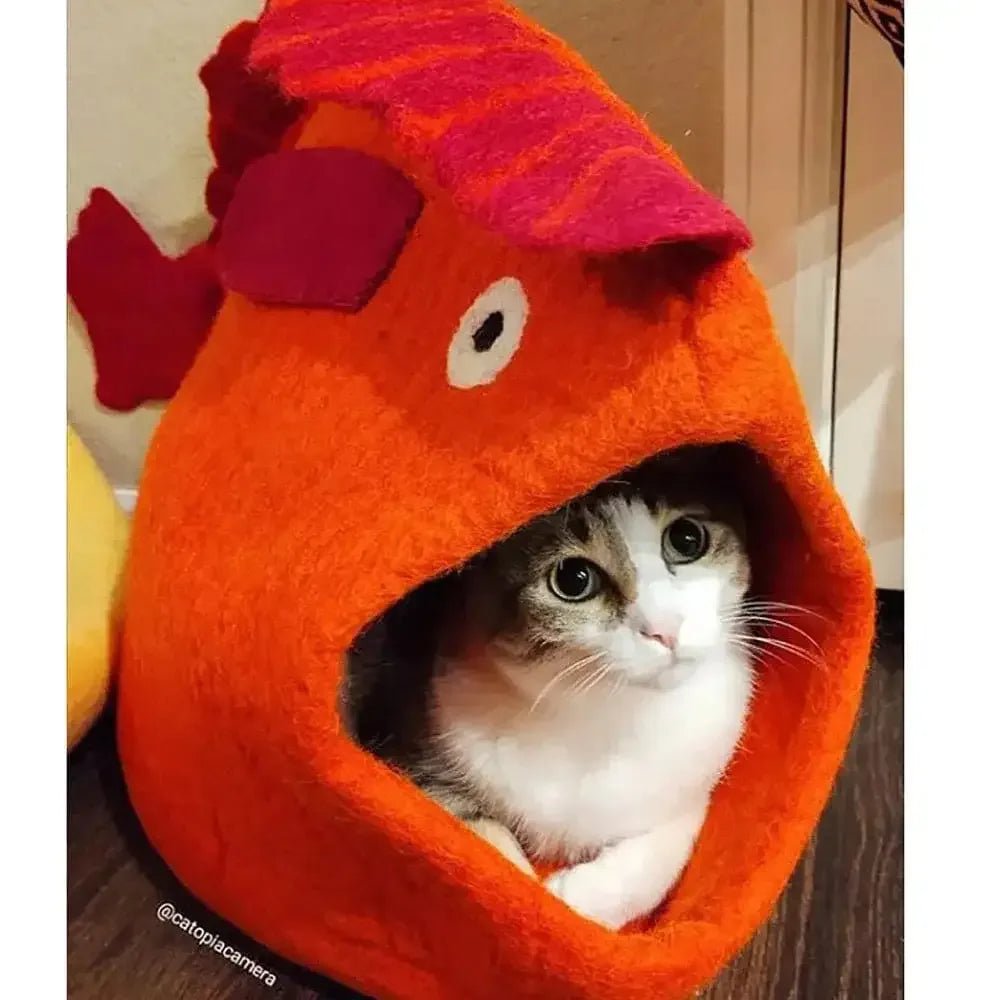 Dharma Dog Karma Cat Wool Pet Cave, Fish Small Dogs & Cat Bed - Talis Us