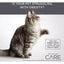 Diamond Care Grain - free Weight Management Formula Adult Dry Cat Food - Talis Us