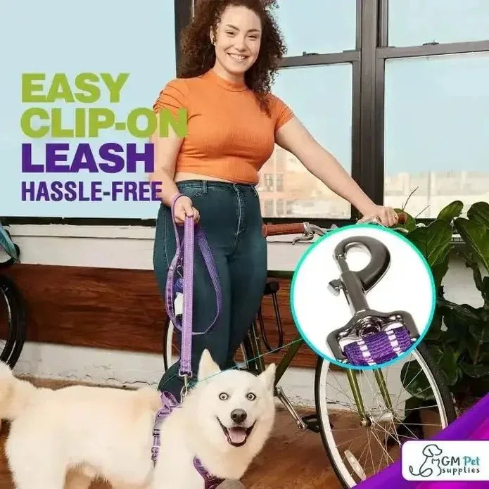 Dog Harness Walking Kit and Leash Set - Talis Us