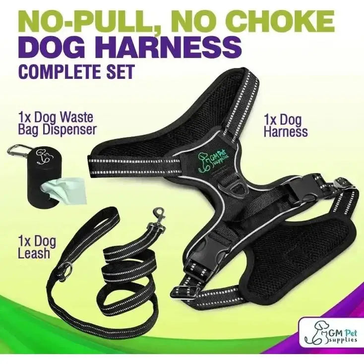 Dog Harness Walking Kit and Leash Set - Talis Us