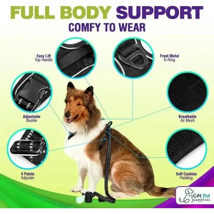Dog Harness Walking Kit and Leash Set - Talis Us