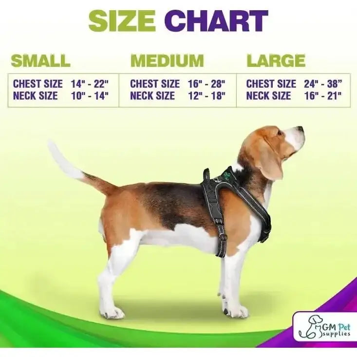 Dog Harness Walking Kit and Leash Set - Talis Us