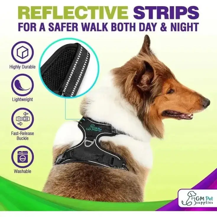 Dog Harness Walking Kit and Leash Set - Talis Us