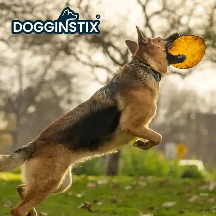 Dogginstix Beef Collagen UFO Dog Chew Treats - Talis Us