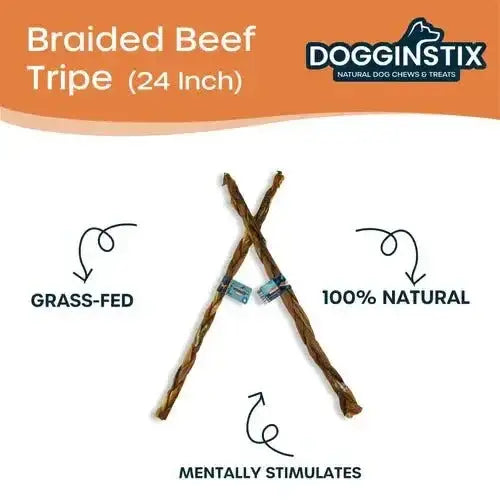 Dogginstix Braided Beef Tripe Sticks for Puppies - Talis Us