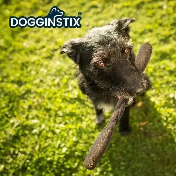 DogginStix Braided Lamb Collagen Barbell Dog Chew Treats Case of 30 - Talis Us