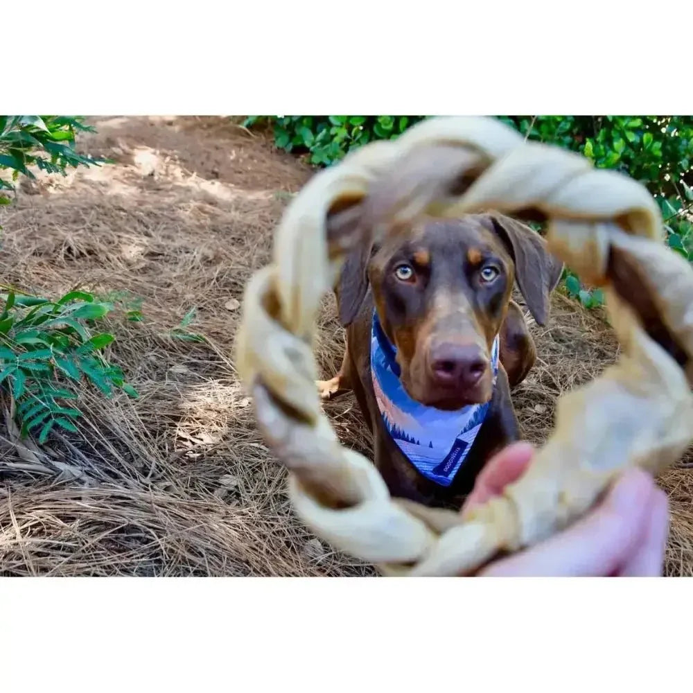 Dogginstix Braided Sticks Lamb Collagen Ring for Dogs Case of 40 - Talis Us