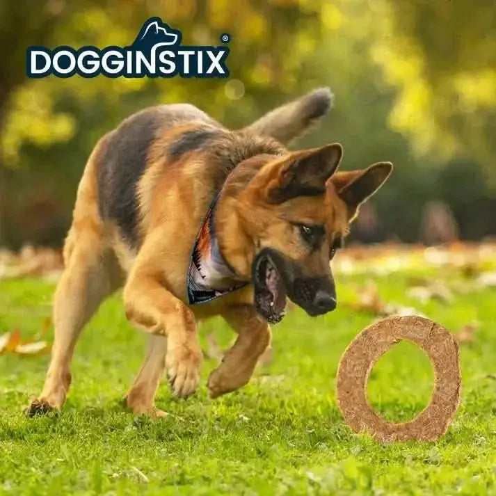Dogginstix Lamb Collagen Cosmic Donut (case 20) - Talis Us