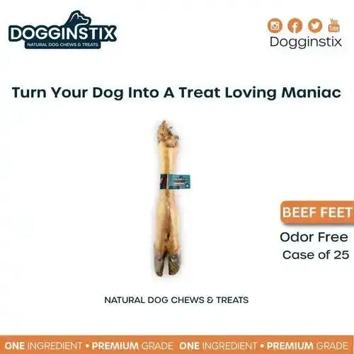 Dogginstix Odor Free Beef Feet - Beef Trotter Dog Chews Case of 20 - Talis Us