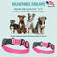 Dogline Biothane Waterproof Dog Collar with Herm Sprenger Stainless Steel Quick Release Buckle - Talis Us