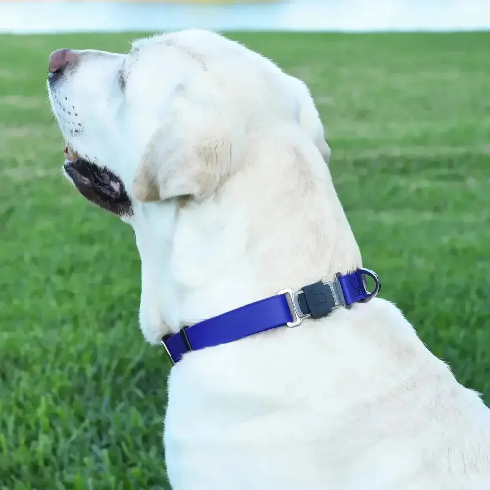 Dogline Biothane Waterproof Dog Collar with Herm Sprenger Stainless Steel Quick Release Buckle - Talis Us
