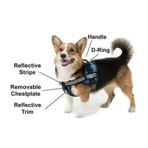 Dogline Unimax Multi Purpose Harness Dogline WP