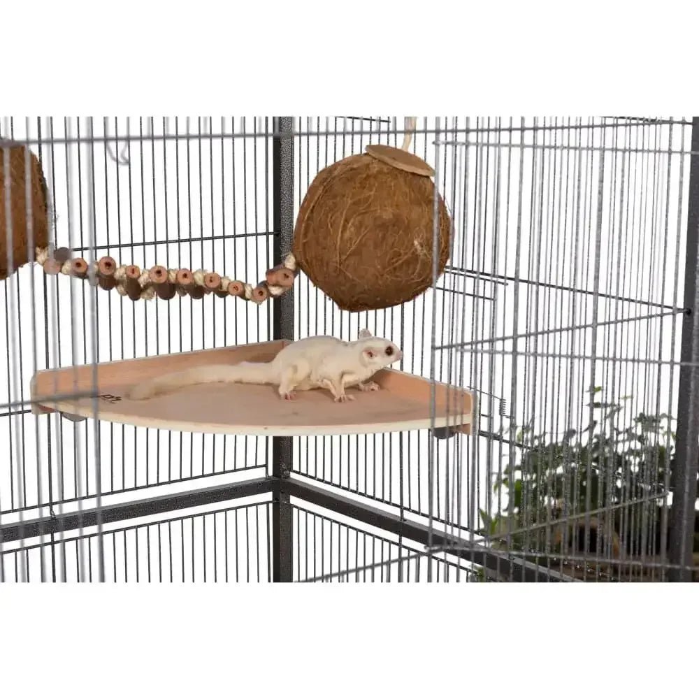 Double Coconut w/ Ladder - Talis Us
