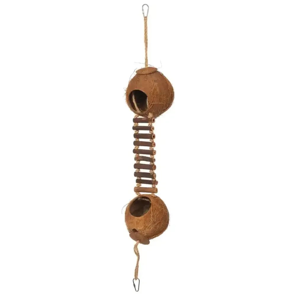 Double Coconut w/ Ladder - Talis Us